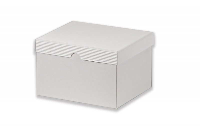 Dárková krabička bez průhledu – bílá (230x190x150 mm)